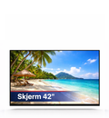 Skjerm 42"