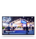 Screen 55″