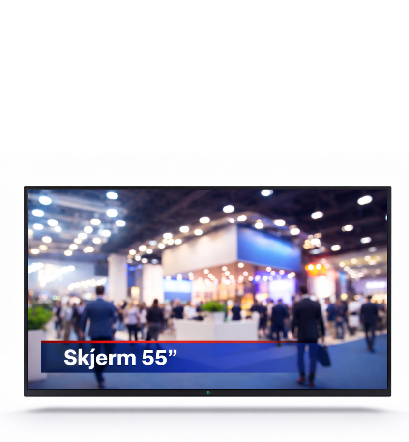 Screen 55″