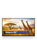 Screen 65″