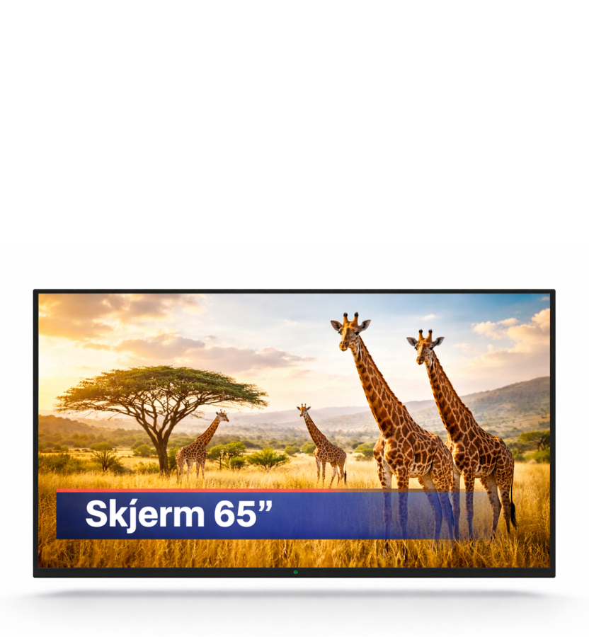 Screen 65″