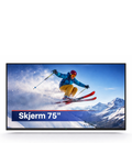 Screen 75″