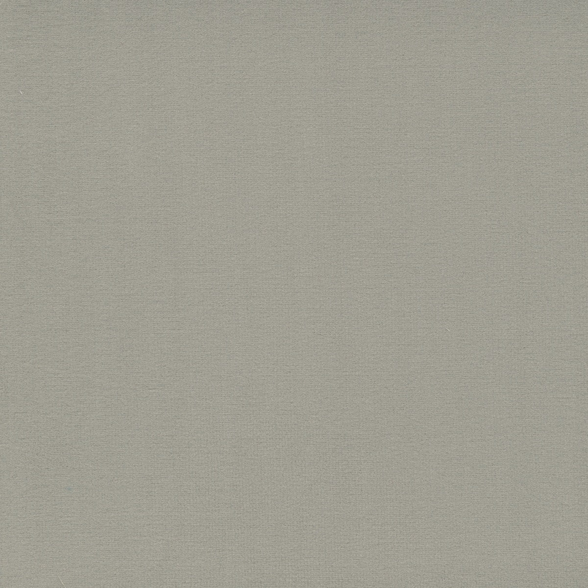 Casa velour, Light grey colour 24841