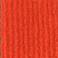 Carpet event red